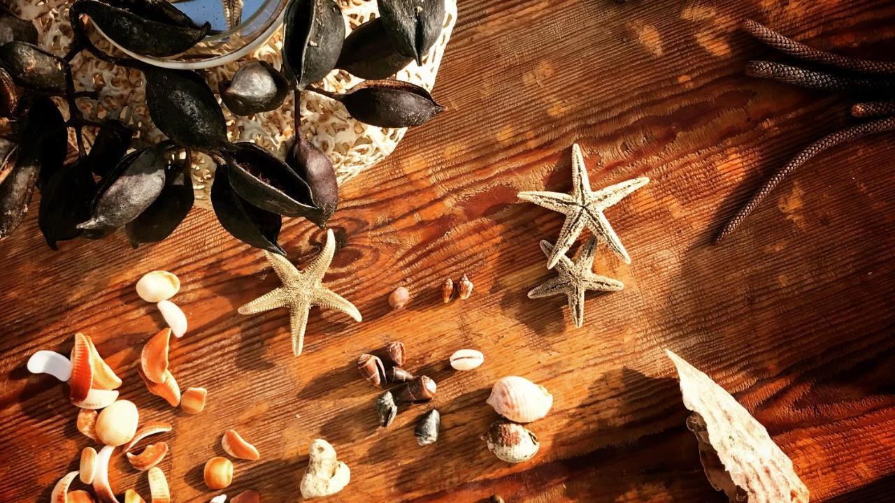 Sally Del Mar - Nudist Naturist مْبيرا المظهر الخارجي الصورة